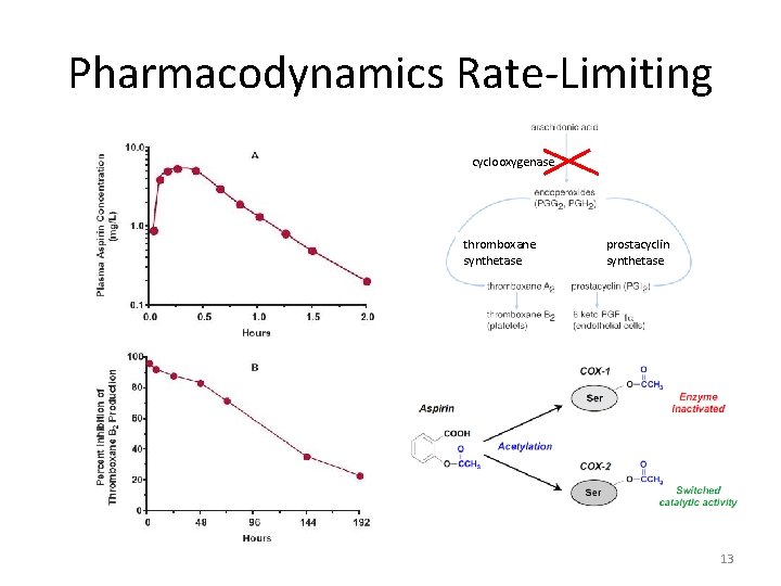 Pharmacodynamics Rate-Limiting cyclooxygenase thromboxane synthetase prostacyclin synthetase 13 