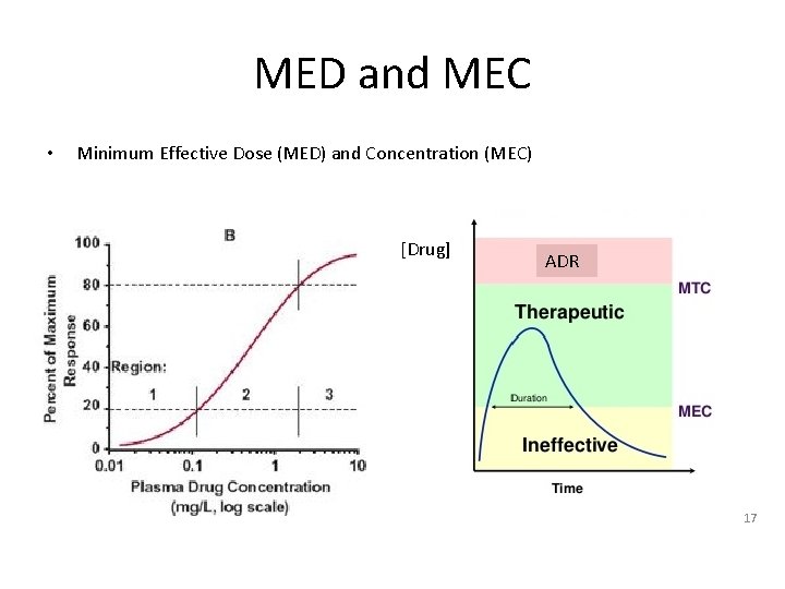MED and MEC • Minimum Effective Dose (MED) and Concentration (MEC) [Drug] ADR 17