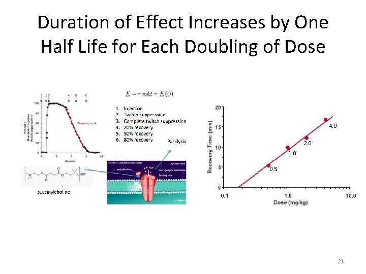 Duration of Effect Increases by One Half Life for Each Doubling of Dose 4.