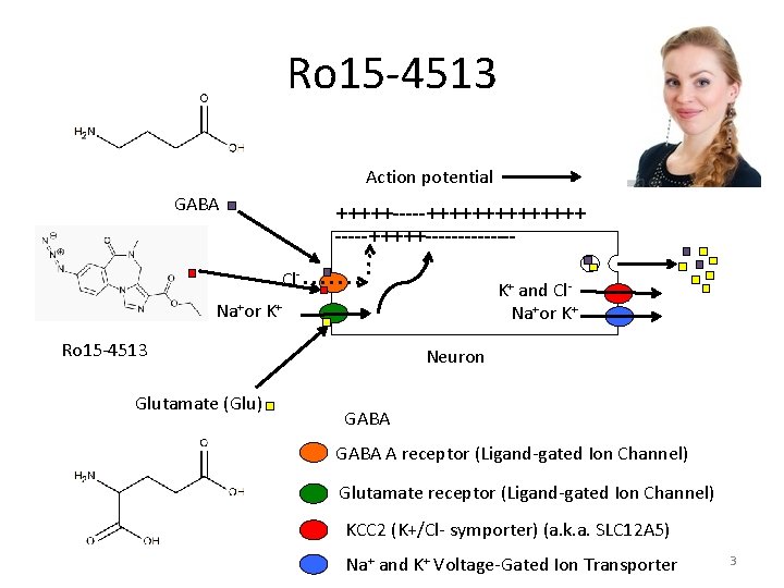 Ro 15 -4513 Action potential GABA +++++-----+++++++ -----+++++-------Cl- K+ and Cl. Na+or K+ Ro