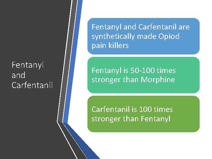 Fentanyl and Carfentanil are synthetically made Opiod pain killers Fentanyl and Carfentanil Fentanyl is