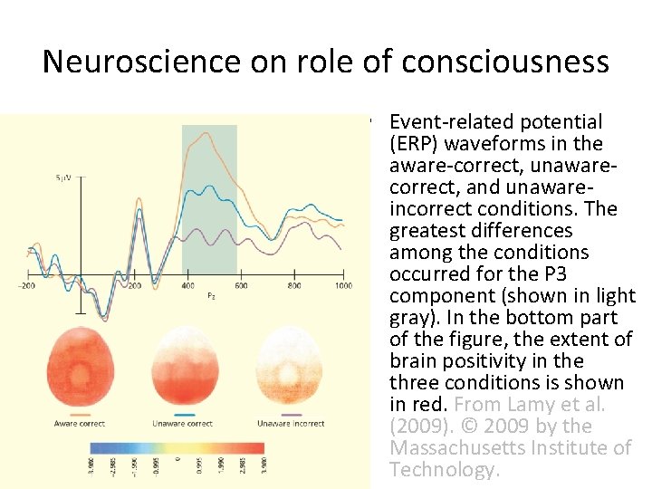 Neuroscience on role of consciousness • Event-related potential (ERP) waveforms in the aware-correct, unawarecorrect,