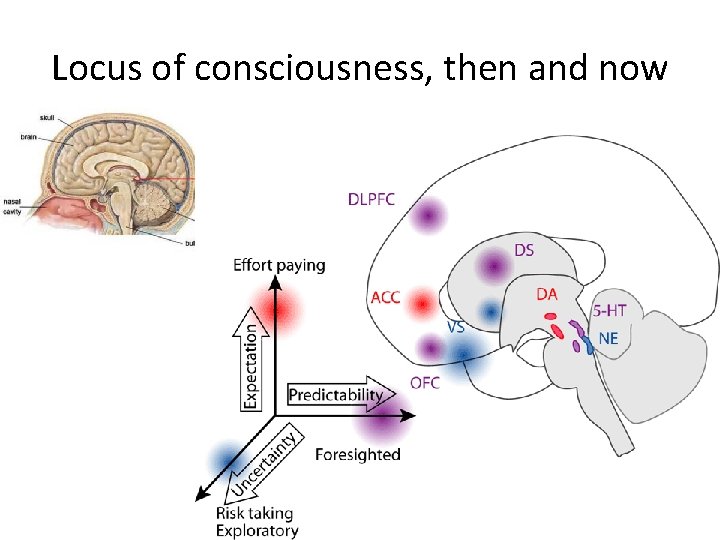 Locus of consciousness, then and now 