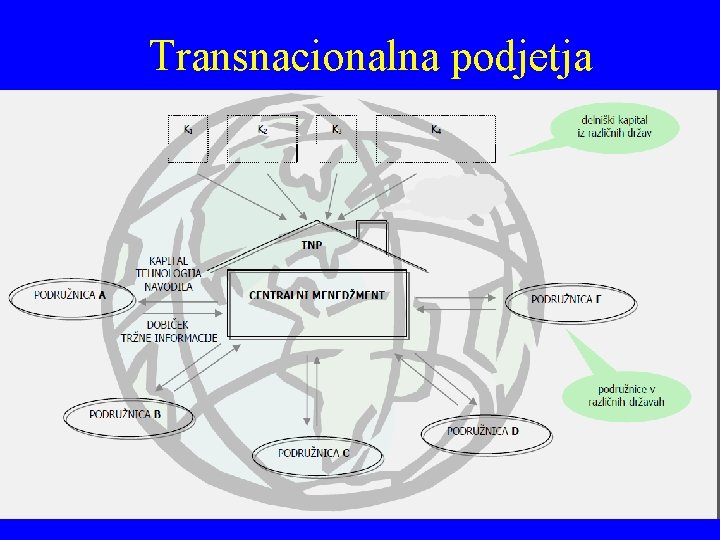 Transnacionalna podjetja 