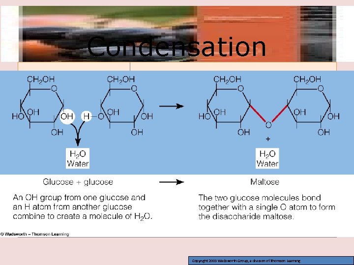 Condensation Copyright 2005 Wadsworth Group, a division of Thomson Learning 