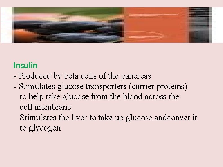 Insulin - Produced by beta cells of the pancreas - Stimulates glucose transporters (carrier