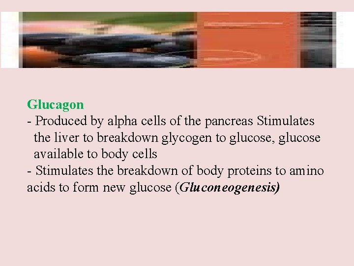 Glucagon - Produced by alpha cells of the pancreas Stimulates the liver to breakdown