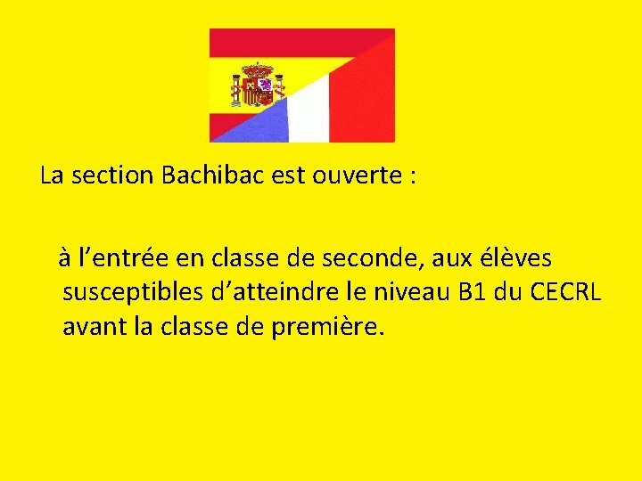 La section Bachibac est ouverte : à l’entrée en classe de seconde, aux élèves La section Bachibac est ouverte : à l’entrée en classe de seconde, aux élèves