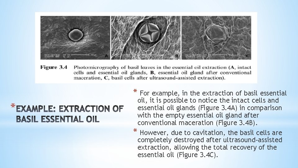 * For example, in the extraction of basil essential * oil, it is possible