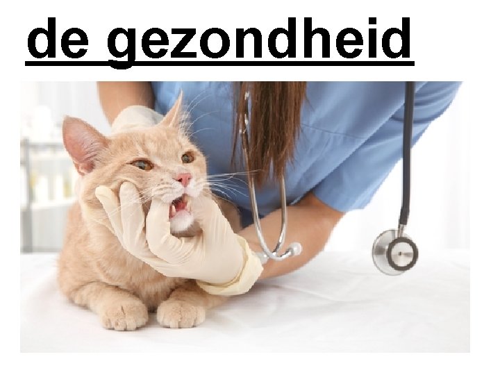 de gezondheid 