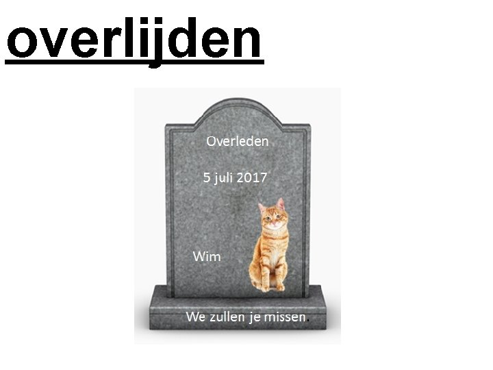 overlijden Overleden 5 juli 2017 Wim We zullen je missen. 