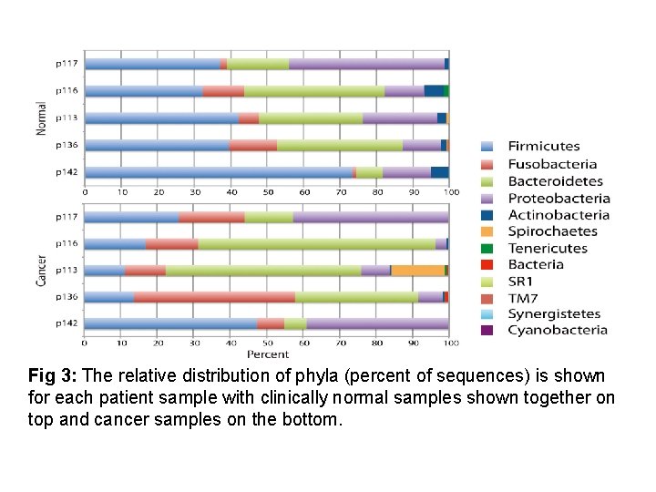 Fig 3: The relative distribution of phyla (percent of sequences) is shown for each