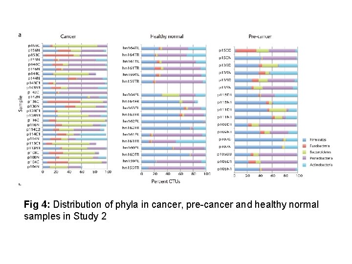 Fig 4: Distribution of phyla in cancer, pre-cancer and healthy normal samples in Study