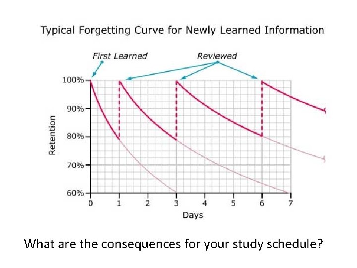 What are the consequences for your study schedule? 