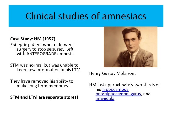 Clinical studies of amnesiacs Case Study: HM (1957) Epileptic patient who underwent surgery to