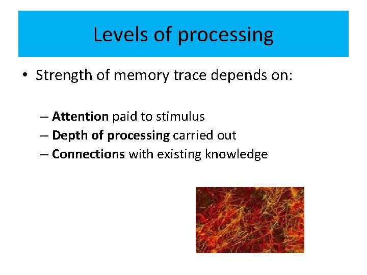 Levels of processing • Strength of memory trace depends on: – Attention paid to