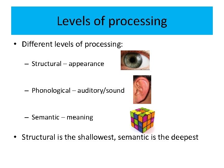 Levels of processing • Different levels of processing: – Structural – appearance – Phonological