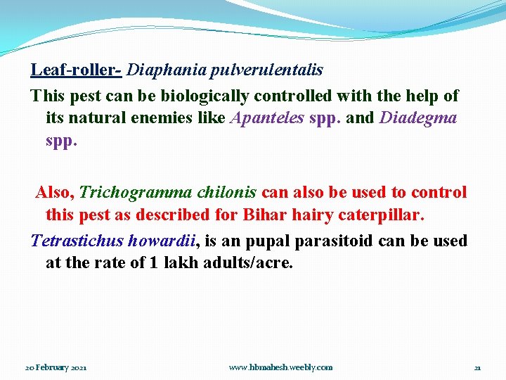 Leaf-roller- Diaphania pulverulentalis This pest can be biologically controlled with the help of its