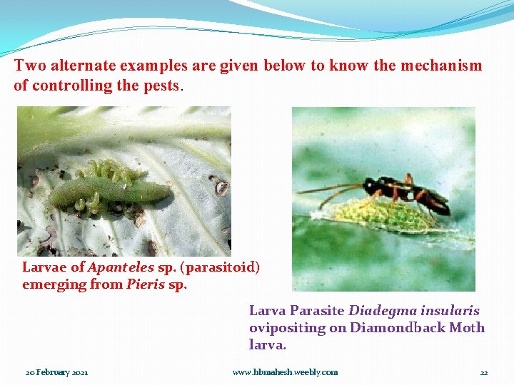 Two alternate examples are given below to know the mechanism of controlling the pests.