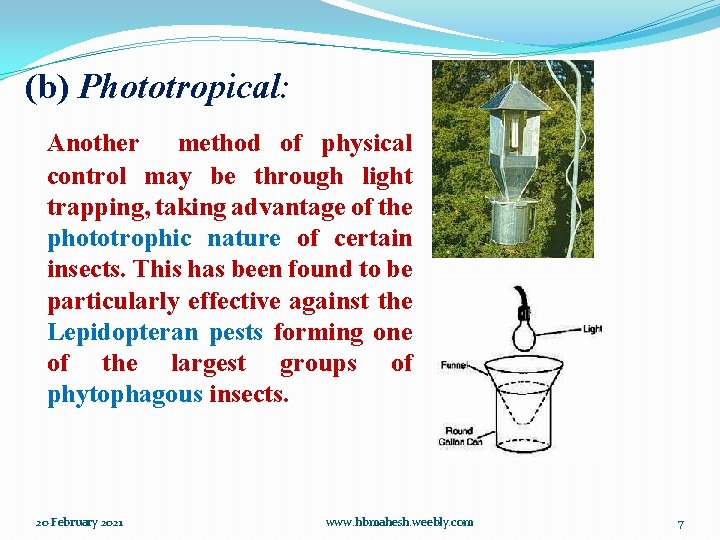 (b) Phototropical: Another method of physical control may be through light trapping, taking advantage