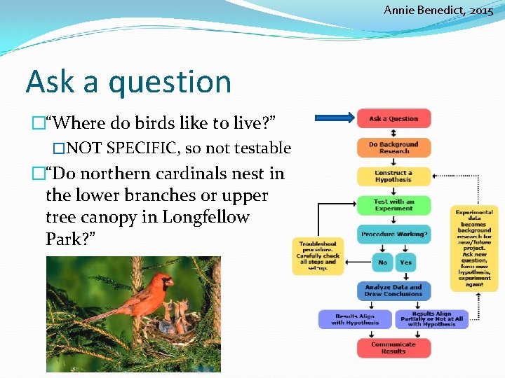 Annie Benedict, 2015 Ask a question �“Where do birds like to live? ” �NOT