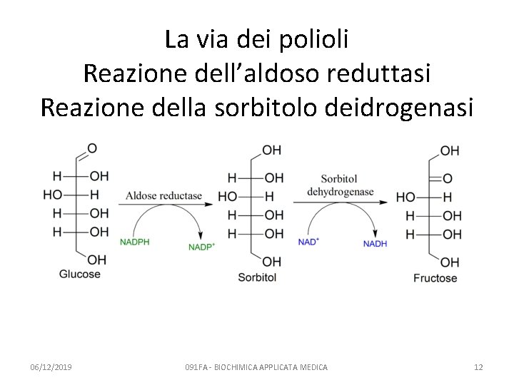 La via dei polioli Reazione dell’aldoso reduttasi Reazione della sorbitolo deidrogenasi 06/12/2019 091 FA