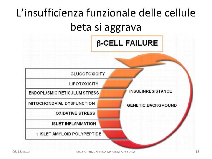 L’insufficienza funzionale delle cellule beta si aggrava 06/12/2019 091 FA - BIOCHIMICA APPLICATA MEDICA