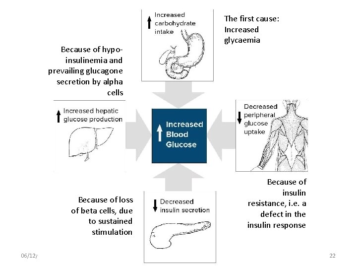 The first cause: Increased glycaemia Because of hypoinsulinemia and prevailing glucagone secretion by alpha
