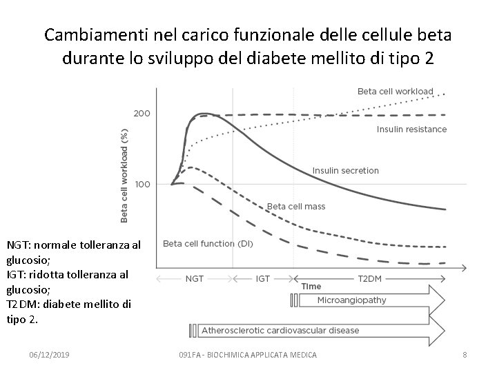 Cambiamenti nel carico funzionale delle cellule beta durante lo sviluppo del diabete mellito di