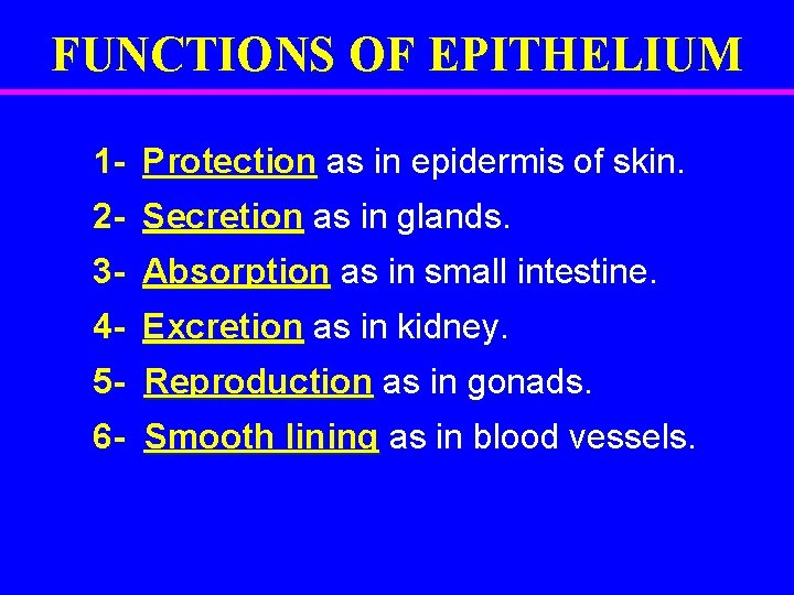 FUNCTIONS OF EPITHELIUM 1 - Protection as in epidermis of skin. 2 - Secretion