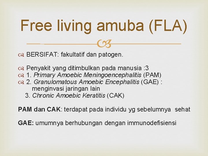 Free living amuba (FLA) BERSIFAT: fakultatif dan patogen. Penyakit yang ditimbulkan pada manusia :