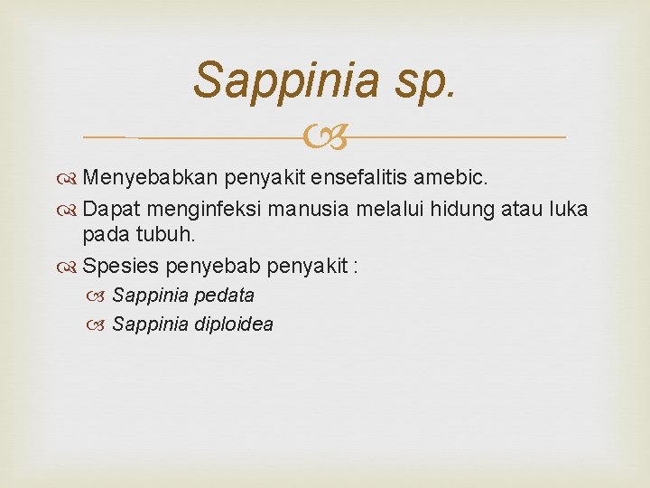 Sappinia sp. Menyebabkan penyakit ensefalitis amebic. Dapat menginfeksi manusia melalui hidung atau luka pada