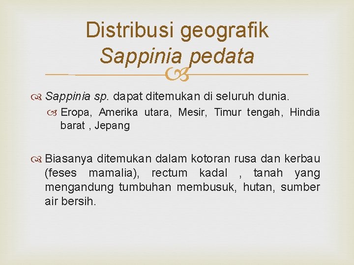 Distribusi geografik Sappinia pedata Sappinia sp. dapat ditemukan di seluruh dunia. Eropa, Amerika utara,