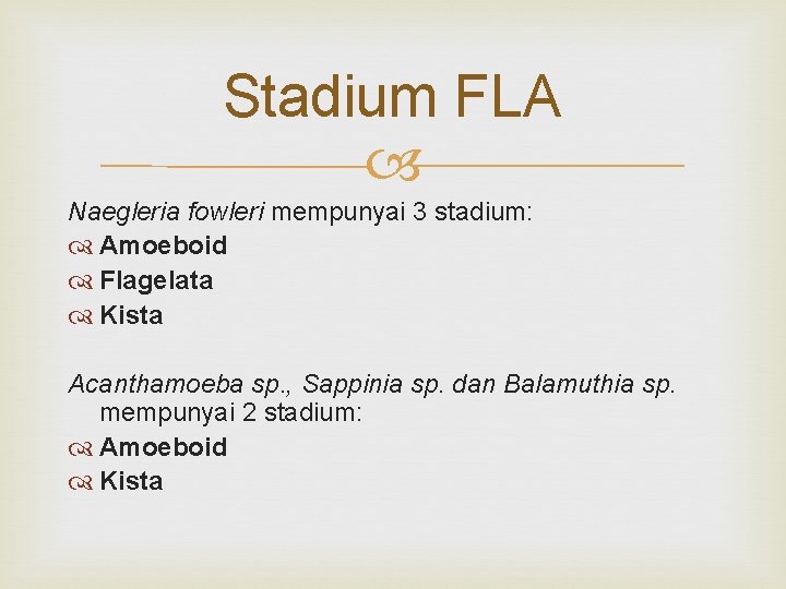 Stadium FLA Naegleria fowleri mempunyai 3 stadium: Amoeboid Flagelata Kista Acanthamoeba sp. , Sappinia