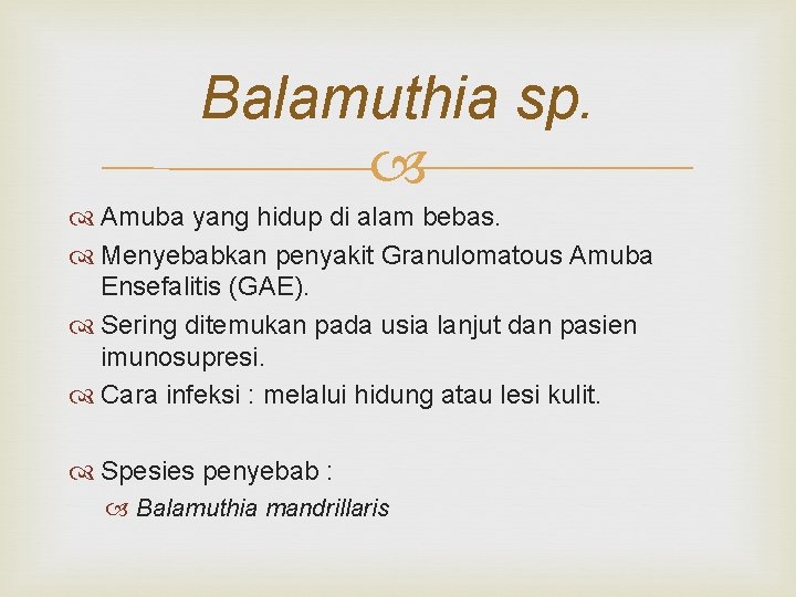 Balamuthia sp. Amuba yang hidup di alam bebas. Menyebabkan penyakit Granulomatous Amuba Ensefalitis (GAE).