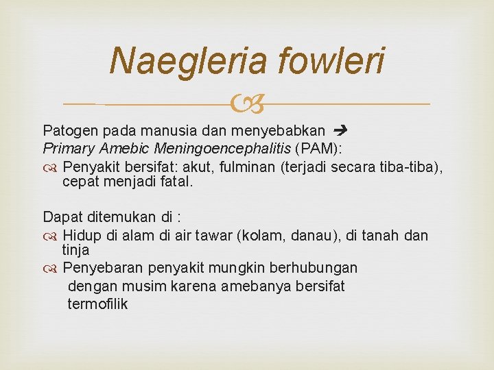 Naegleria fowleri Patogen pada manusia dan menyebabkan Primary Amebic Meningoencephalitis (PAM): Penyakit bersifat: akut,