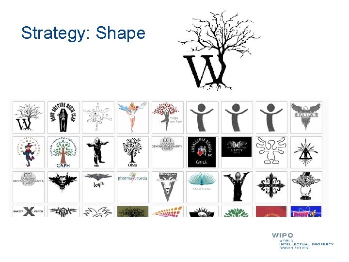 Strategy: Shape 