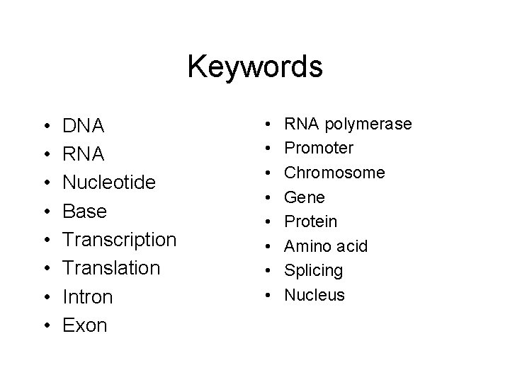 Keywords • • DNA RNA Nucleotide Base Transcription Translation Intron Exon • • RNA