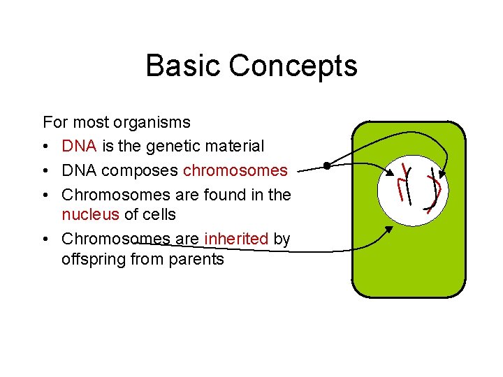 Basic Concepts For most organisms • DNA is the genetic material • DNA composes