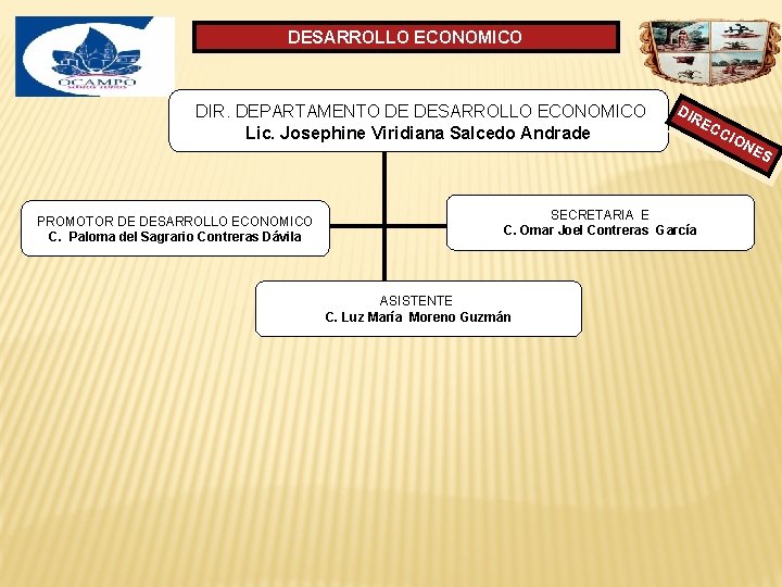 DESARROLLO ECONOMICO DIR. DEPARTAMENTO DE DESARROLLO ECONOMICO Lic. Josephine Viridiana Salcedo Andrade DIR EC