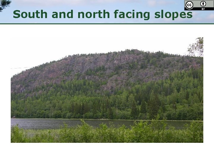 South and north facing slopes 