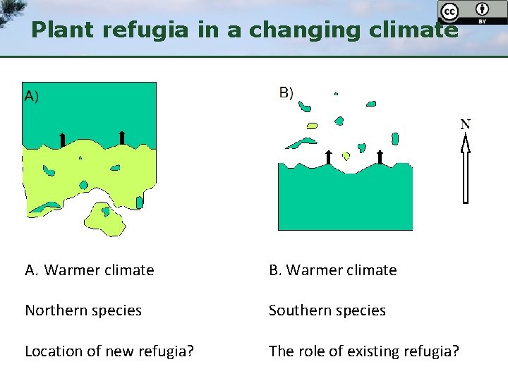 Plant refugia in a changing climate A. Warmer climate B. Warmer climate Northern species