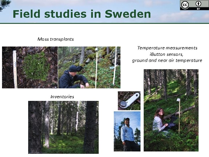 Field studies in Sweden Moss transplants Temperature measurements i. Button sensors, ground and near