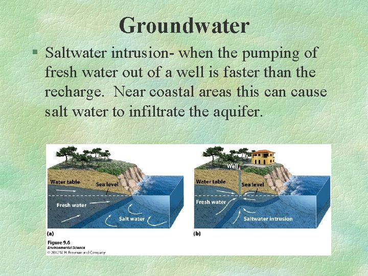 Groundwater § Saltwater intrusion- when the pumping of fresh water out of a well