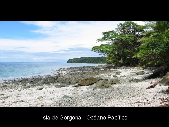 Isla de Gorgona - Océano Pacífico 