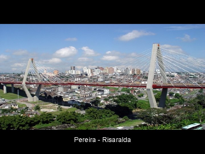 Pereira - Risaralda 