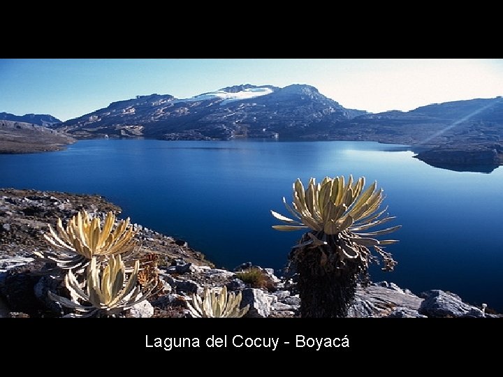 Laguna del Cocuy - Boyacá 