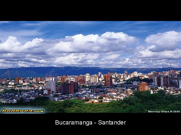 Bucaramanga - Santander 