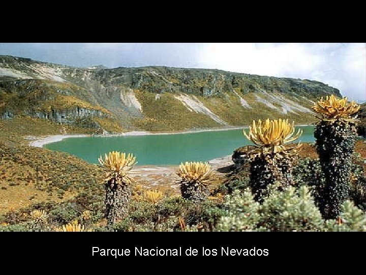 Parque Nacional de los Nevados 