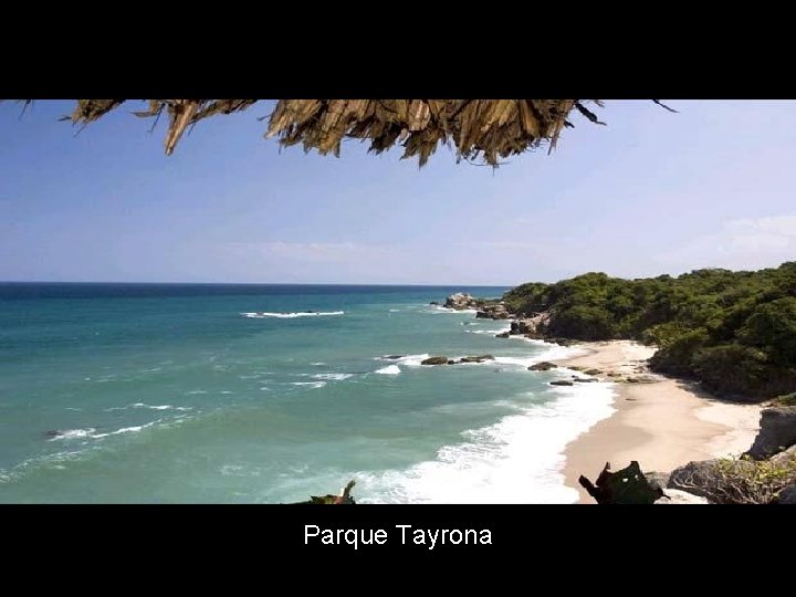 Parque Tayrona 